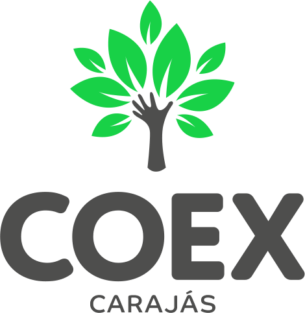 Coex Carajás